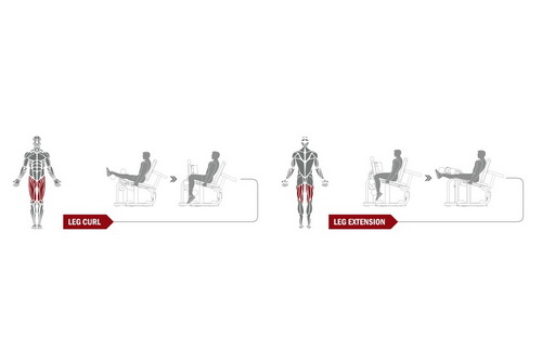 Упражнения выполняемые на тренажере Spirit Fitness DWS141-U2